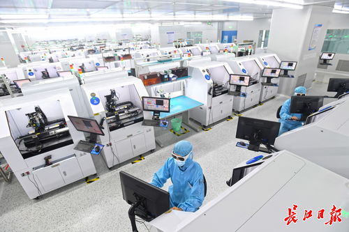 武漢市人民政府門(mén)戶(hù)網(wǎng)站